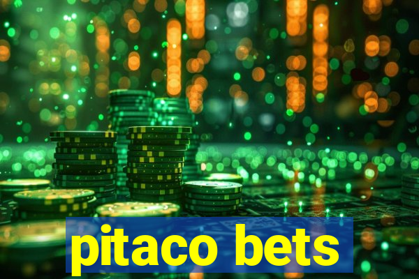 pitaco bets